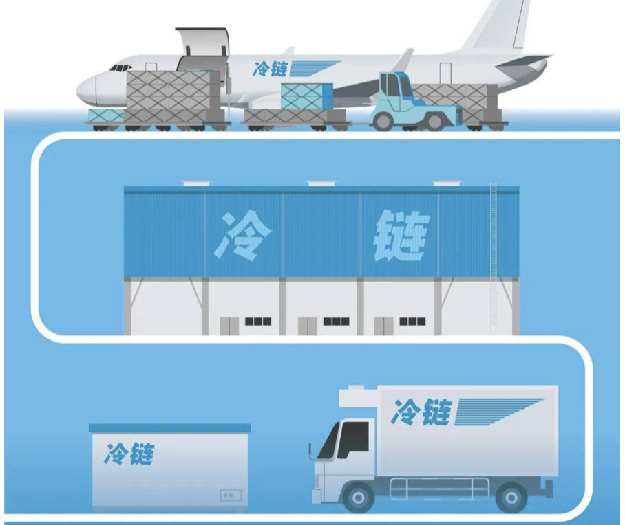 冷链行业智能化升级：一物一码防伪溯源技术助力产品安全管理-优德88