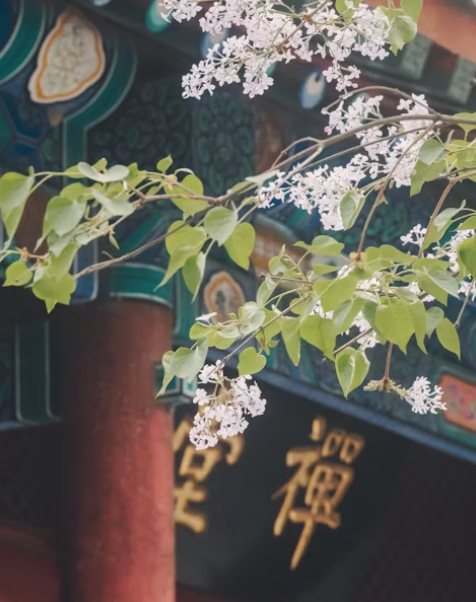营销数字化该该怎么办办样的_探索营销数字化的优势与挑战-优德88
