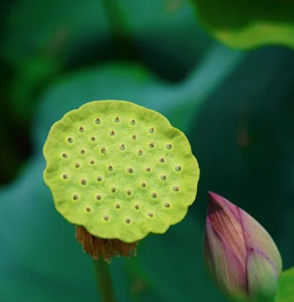 一维条形码是一物一码吗？（一维条形码：每物独码？）- 优德88知识百科