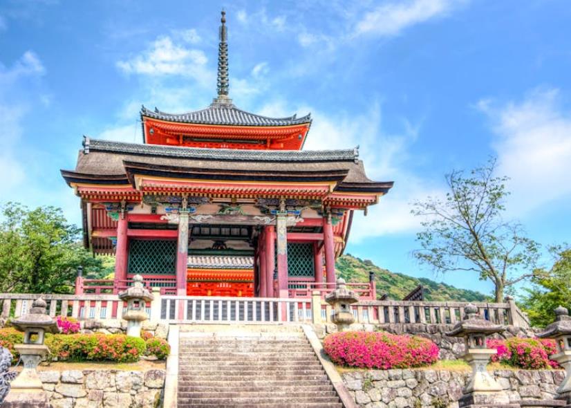 溯源体系登陆密码忘了该该怎么办办找回_实用技巧与步骤指南-优德88