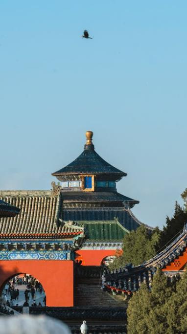 餐饮溯源体系该该怎么办办录入数据-优德88