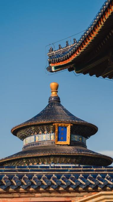 代采业务玩法在医疗器械行业中的应用实践深度分析 代采怎么做账-优德88