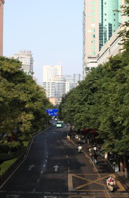 茶饼溯源防伪体系该该怎么办办用-优德88