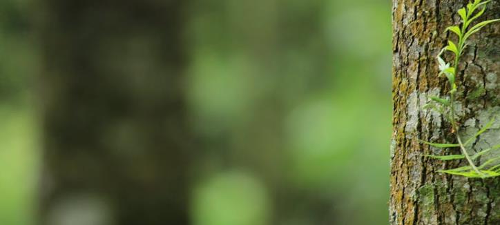 最新二维码公众号吸粉秘籍：红包平台助你快速增粉！免费试用，免费试用，快来优德88！