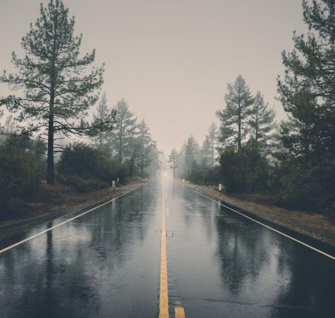 茅台溯源防伪app3.1：如何使用？掌握关键防伪技术，保护您的每一瓶茅台