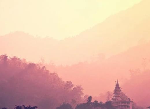 二维码溯源系统：多少钱？溯源系统的作用与价值揭秘