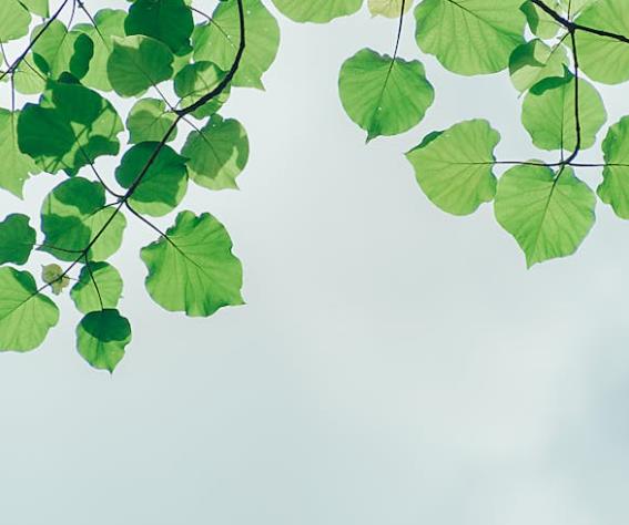 防串货溯源扫码系统如何实施？揭秘高效防串货解决方案-优德88
