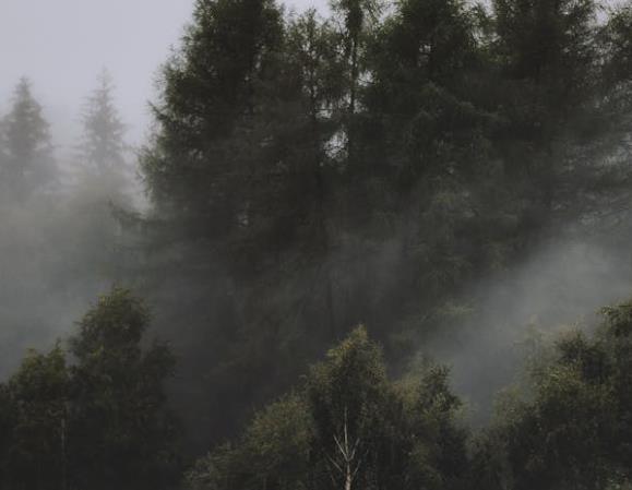 二维码溯源技术在制造业的应用与实践-优德88助力智能制造