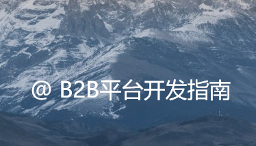 B2B平台开发秘籍：全流程开发关键点与实战攻略