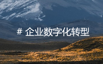 B2B系统助力企业数转，激发B2B业务潜力