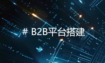 B2B平台搭建：全流程专业指导，助力企业轻松实现需求落地