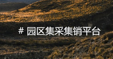 园区集采赋能：打造B端企业全周期高效协同销售解决方案