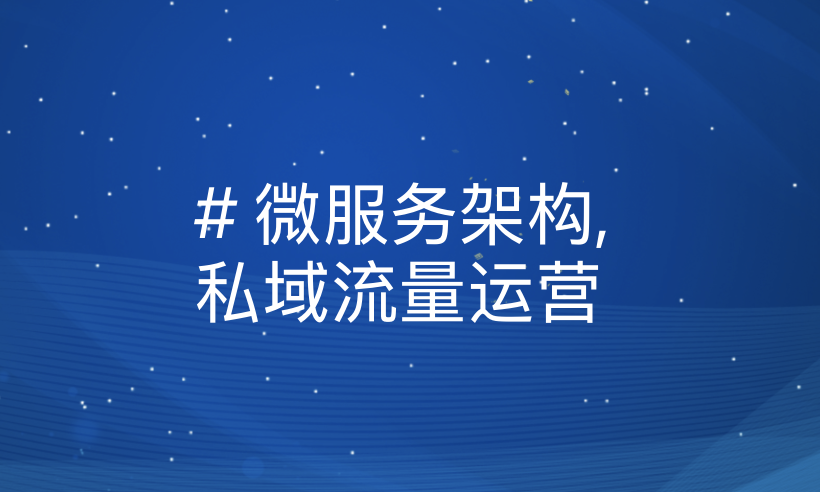 科技互联网企业自营平台搭建秘籍：从零起步构建数字化增长引擎，开启数智新时代