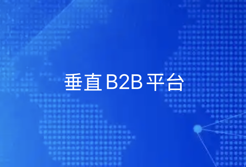 垂直B2B平台：细分市场如何构建独特优势？- 优德88