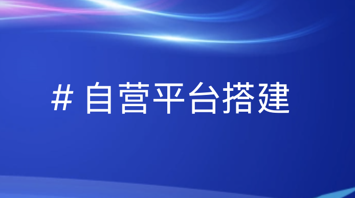 中微企业自营平台搭建全流程指南 - 数智引领未来